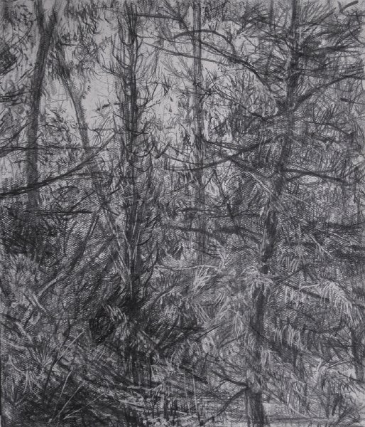 COLD NOON, 2009, pencil on paper, 11 x 9 3/4 inches