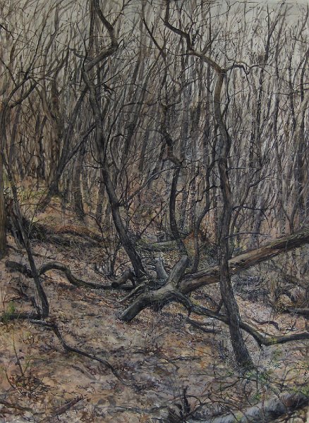 FORREST, 2007, gouache on paper, 36 x 24 inches
