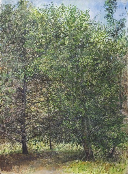 MEDOW, 2009, gouache on paper, 36 x 24 inches