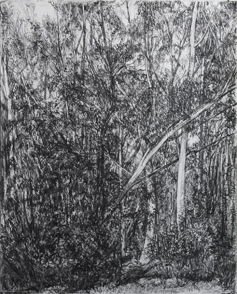 SLOW MOVING WIND - 1, 2009, pencil on paper, 20 x 16 inches