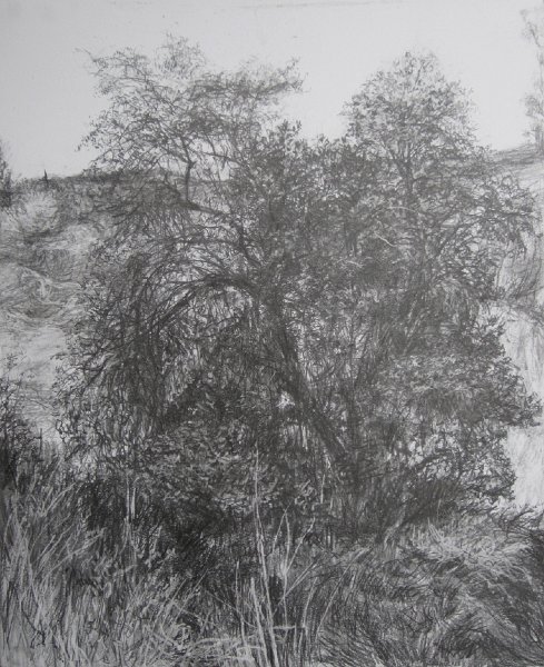 SPOT ABOVE THE EDGE, 2012, pencil on paper, 17 x 14 inches