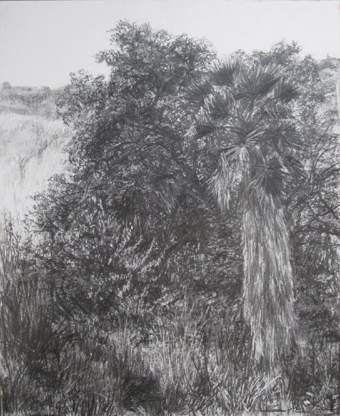 SPOT ABOVE THE EDGE WITH PALM, 2012, pencil on paper, 17 x 14 inches