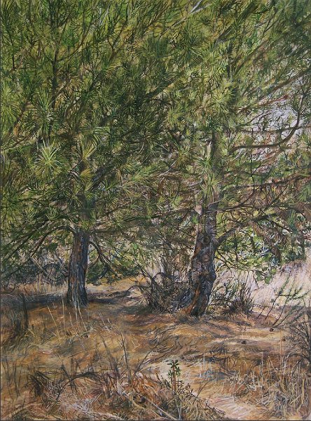 TRAIL, 2002, gouache on paper, 25 x 19 inches
