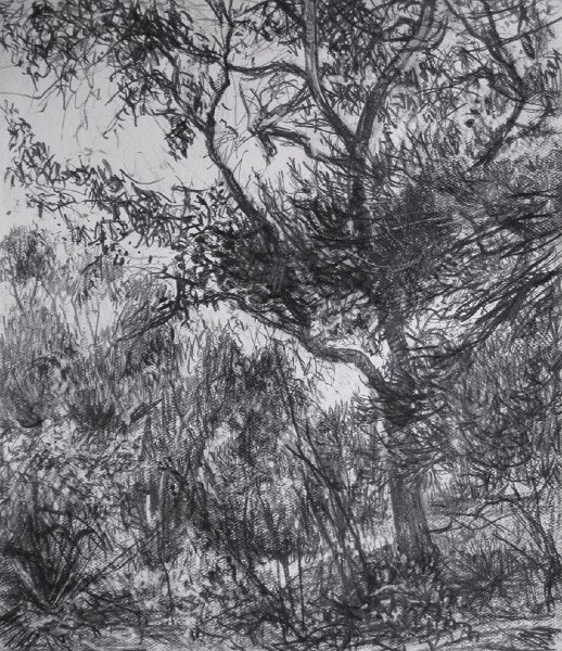 VIEW OF PASS, 2009, pencil on paper, 11 x 9 3/4 inches