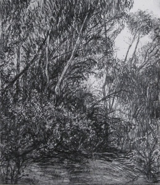 WAY OUT 1, 2009, pencil on paper, 11 x 9 3/4 inches