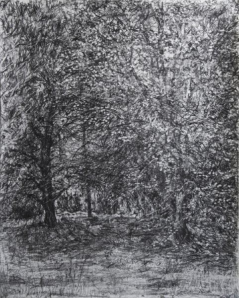 MEADOW, 2009, pencil on paper, 20 x 16 inches